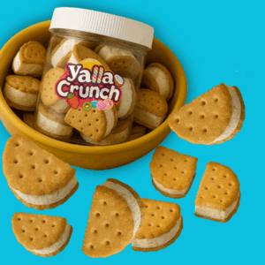 Freeze Dried Ice Cream Ringo