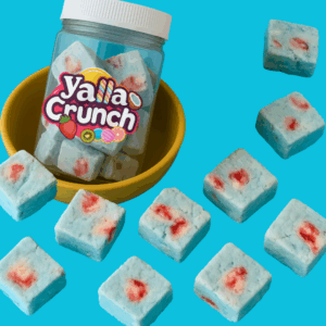 Freeze Dried Blueberry Ice Cream with Strawberry Chunks