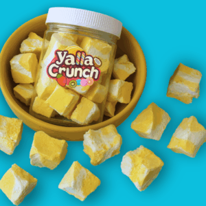 Freeze Dried Ice Cream Mango Coconut