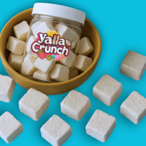 Freeze Dried Ice Cream Vanilla