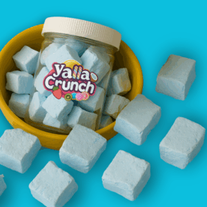 Freeze Dried Ice Cream Blueberry