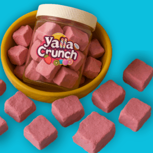 Freeze Dried Ice Cream Watermelon