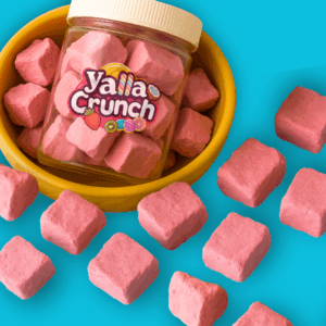 Freeze Dried Ice Cream Strawberry