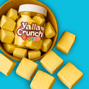 Freeze Dried Ice Cream Pineapple