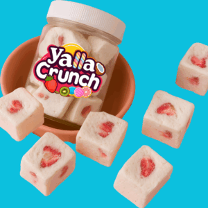 Freeze Dried Vanilla Ice Cream with Strawberry Chunks