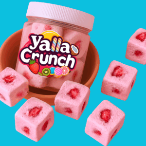 Freeze Dried Strawberry Ice Cream with Strawberry Chunks