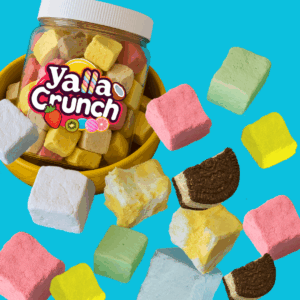 Freeze Dried Mixed Ice Cream