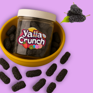 Freeze Dried Mulberry